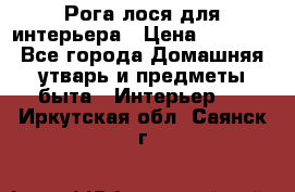 Рога лося для интерьера › Цена ­ 3 300 - Все города Домашняя утварь и предметы быта » Интерьер   . Иркутская обл.,Саянск г.